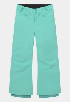 Roxy BACKYARD GIRL - Pantalon De Ski - Aruba Blue