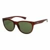 Roxy GINA - Lunettes De Soleil - Brown/green