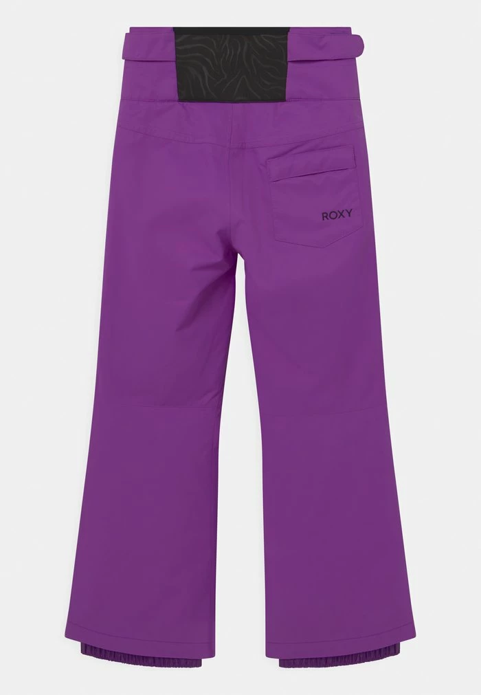 Roxy DIVERSION GIRL - Pantalon De Ski - Pansy 2 Roxy DIVERSION GIRL - Pantalon De Ski - Pansy – Image 2
