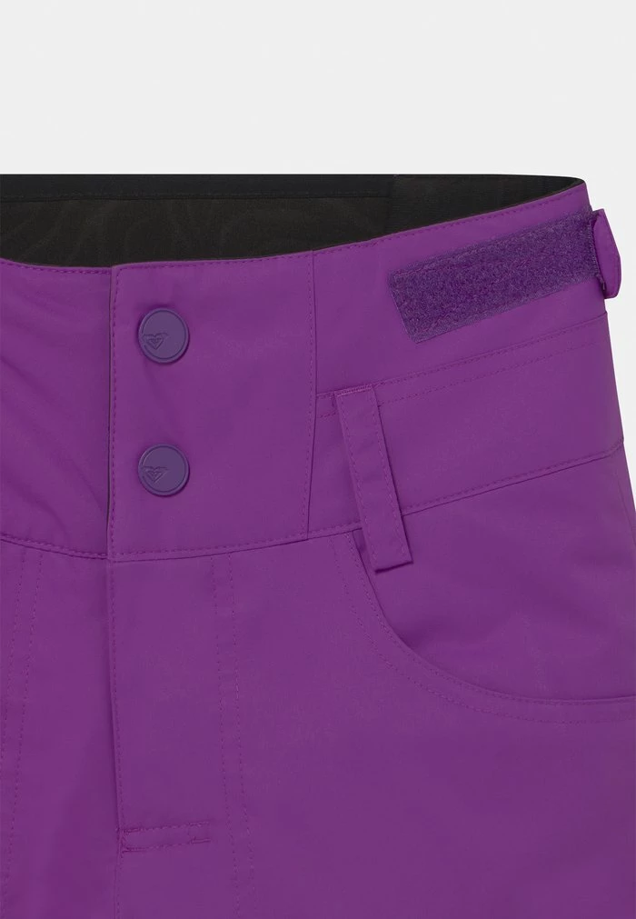 Roxy DIVERSION GIRL - Pantalon De Ski - Pansy 3 Roxy DIVERSION GIRL - Pantalon De Ski - Pansy – Image 3